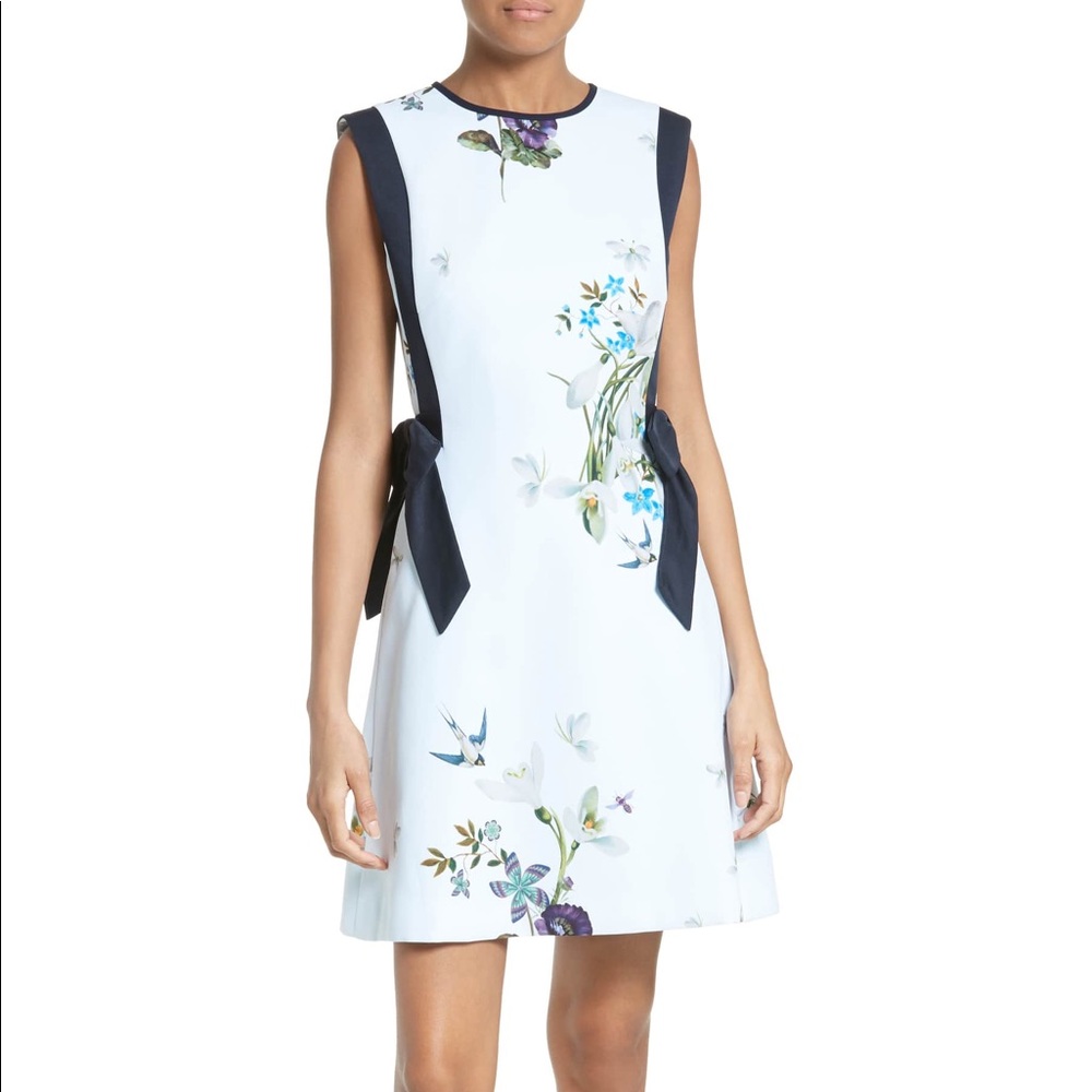 Ted Baker Sipnela A-Line Dress - like new